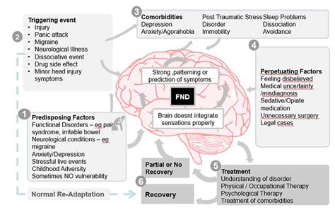 nfnnd|Functional neurologic disorder .
